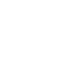 dollar